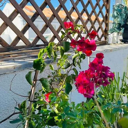 Apartamento Casa Rafinha *