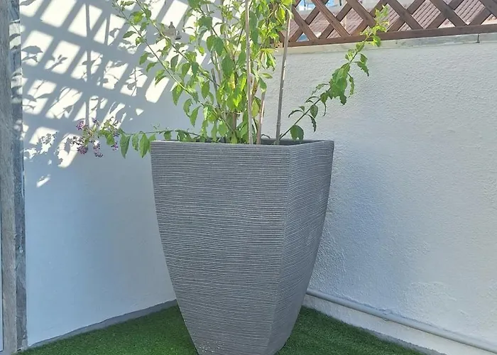 Apartament Casa Rafinha *